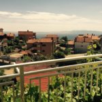 Assisted living ANDREA