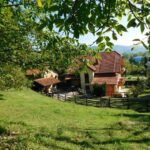 Assisted living IVIĆ